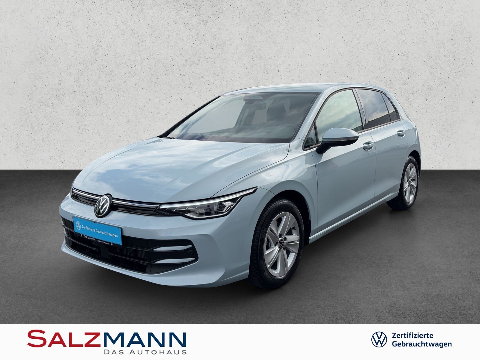 Volkswagen Golf VIII 1.5 TSI Life Navi Sthzg. Kamera Sp foto 1