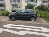 Fiat Punto evo - Fiat Punto Evo aus 2012