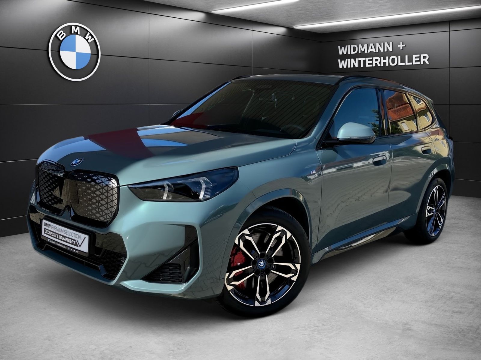 BMW iX1 xDrive30 M Sport Pro HUD LC Prof. DA H K foto 1