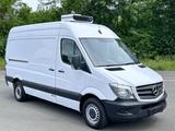Mercedes-Benz Sprinter II Kasten 316 CDI Klima Navi TOP - TOP - Mercedes-Benz Kastenwagen hoch + lang Sprinter 316
