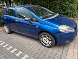 Fiat Fest Preis 750 !!!Ohne TUV. 1.4 benzin Gu... - Fiat Punto in Mönchengladbach