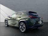 Lexus UX 250 h*LED*TOP* KAMERA*NAVI*FACELIFT - Lexus aus 2023