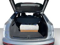 Audi SQ5 - Vorschau Bild 9