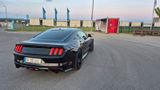 Ford Mustang 5.0 Ti-VCT V8 GT GT - Ford Mustang Gebrauchtwagen in Stuttgart
