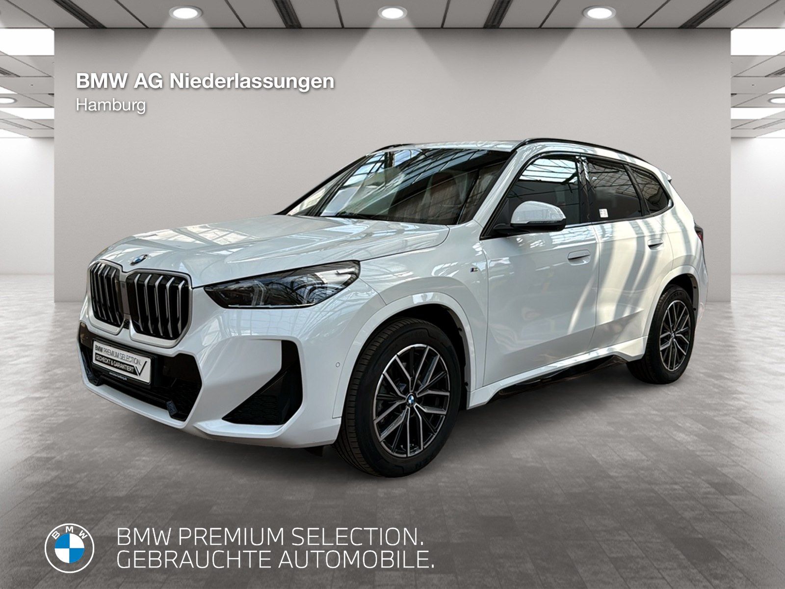 BMW X1 sDrive20d M Sport AHK Driv.Assist+ Harman/K
