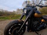 Harley-Davidson Fat Boy 117 Neufahrzeug - HARLEY-DAVIDSON FAT BOY 117