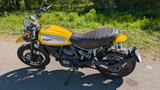 Ducati Scrambler 800 Urban Enduro Gelb (Unikat!) - Ducati Scrambler 800