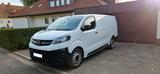 Opel Vivaro Camper/Transporter L3 - Opel: Transporter