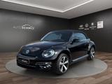 Volkswagen Beetle Sound 1.2 TSI  APP-Connect BI-Xenon WINDS - Volkswagen Beetle: Sound