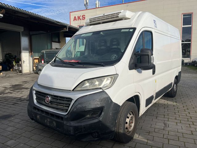 Fiat Ducato*Thermo-King V-300*Klima*Kühlkasten*