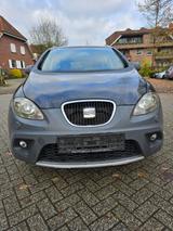 Seat Altea Freetrack 4x4 2.0tdi mit neue tüv - Seat Altea: Freetrack