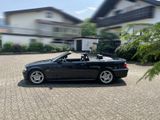 BMW 325Ci -Cabrio e46 M-Paket - BMW: Cabrio, E46 M Paket