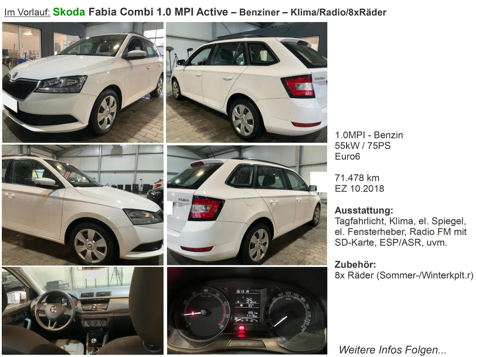 Skoda Fabia Combi 1.0 Active *Klima*Radio*8xRäder*