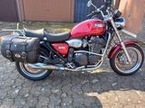 Triumph Legend TT 900 - Angebote