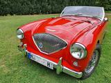 Austin Healey 100-4 LM, BN1  - Austin Healey: Bn4