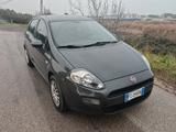Fiat Punto Evo 1.3 MJT 85CV OK NEOPATENTATI . - Fiat Punto Evo mit Diesel-Antrieb: 1.3