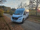 Challenger V217 Vany Fiat Ducato  - Vany
