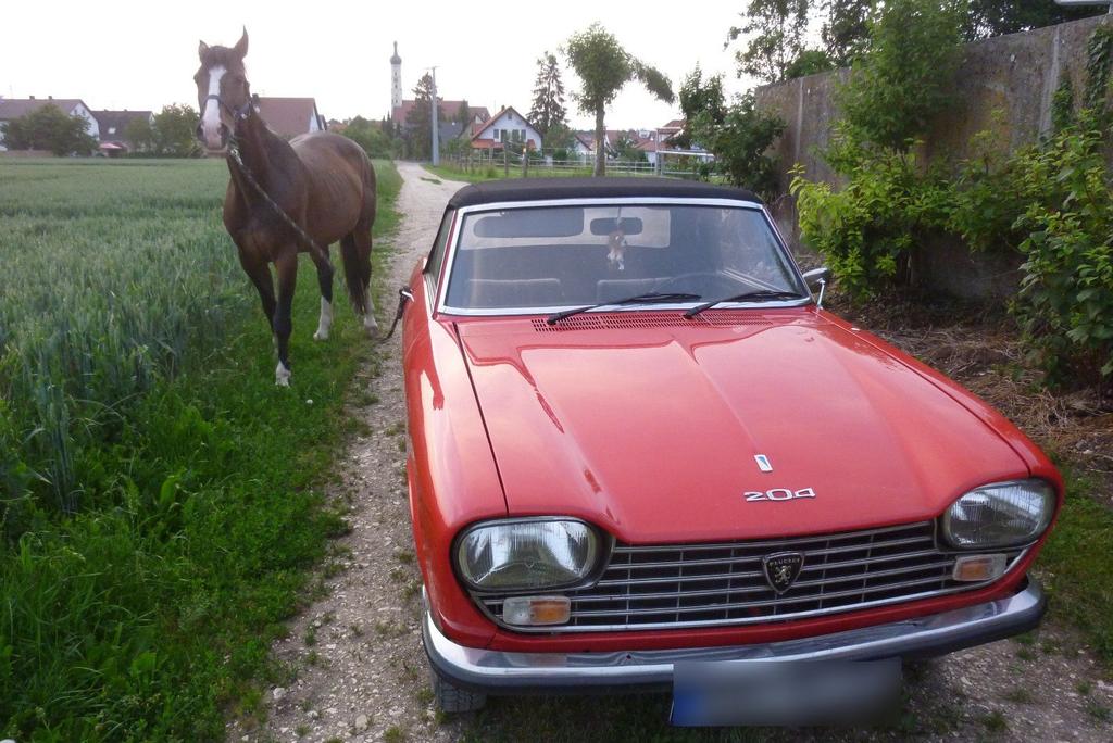 Peugeot 204 Cabrio 1969