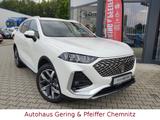 GWM Wey 03 Luxury Tageszulassung - GWM Wey 03 Tageszulassungen