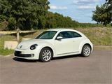 Volkswagen New Beetle - VW New Beetle von privat