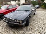 Jaguar XJ 40 H-Kennz. - scheckheftgepflegte Jaguar XJ40