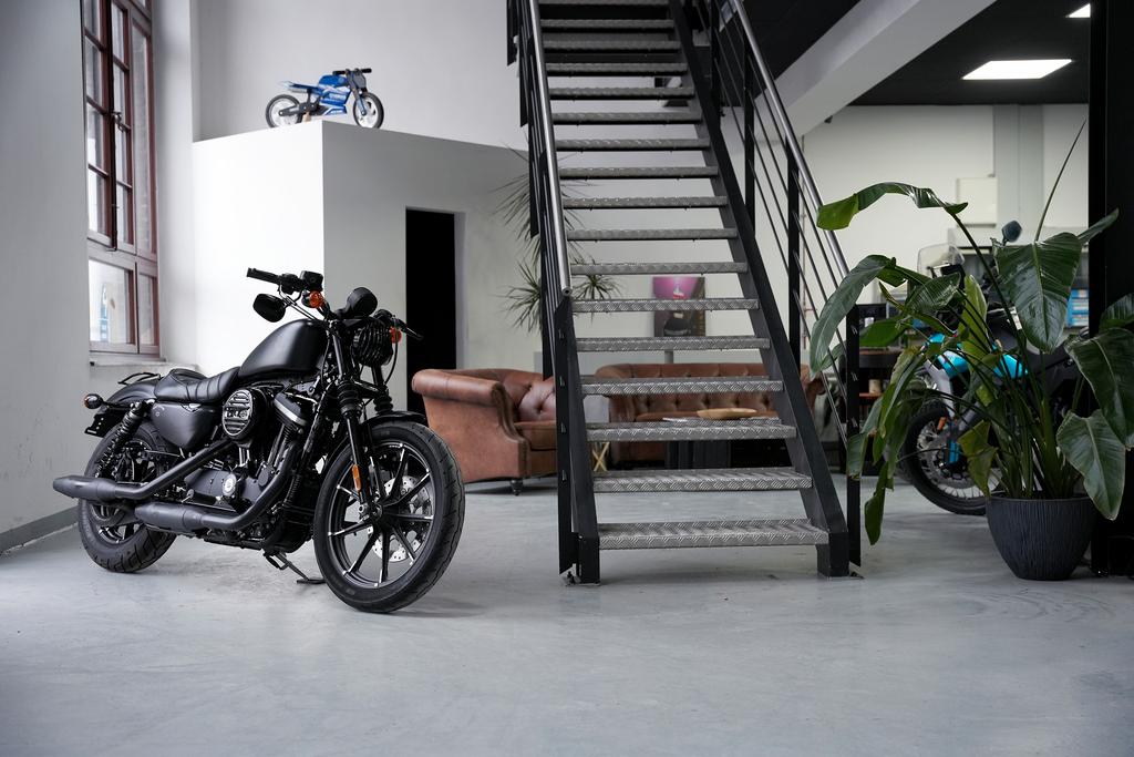 Harley-Davidson XL 883N IRON | KessTech | TOP |