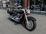 Suzuki VL800C*C800*Koffer*Gepäckträger - SUZUKI VL 800