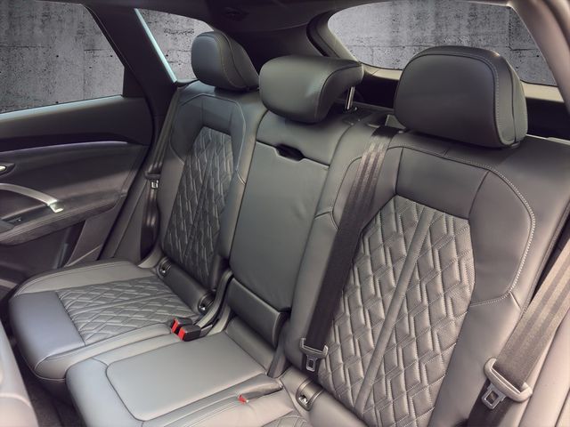 Audi SQ5 - Bild 11