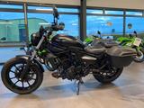 Kawasaki Eliminator 500 - Neues Modell  & Koffer - KAWASAKI 500