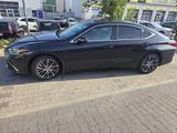 Lexus ES 300 300h Business Line Automatik Business... - Lexus ES-Serie Gebrauchtwagen