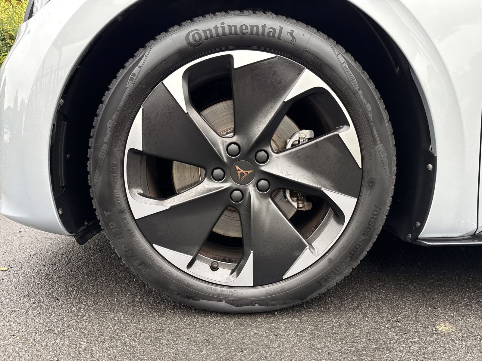 Cupra Born - Bild 8