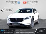Mazda CX-30 2.5l Prime-Line Head-up/Kamera/Navi/LED - Mazda CX-30: Prime Line