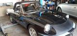 Alfa Romeo Spider 2.0 - Alfa Romeo aus 1986