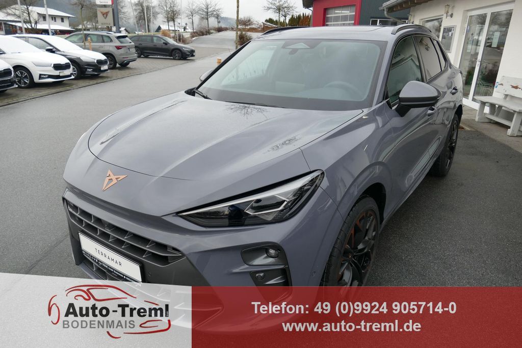 Cupra Terramar