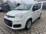 Fiat Panda MY25 1.0 GSE *5-Sitzer*GRA* PDC*Bluet.* - Fiat Panda: Sitzer