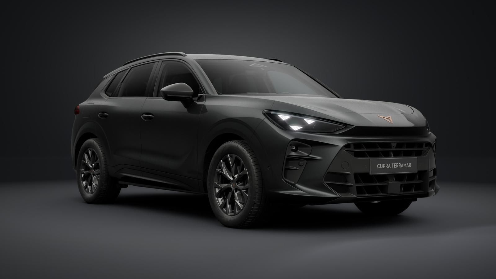 Cupra Terramar - Bild 3