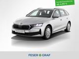 Skoda Octavia 1.5TSI Essence AHK Design-Paket Studio - Skoda Octavia aus 2025
