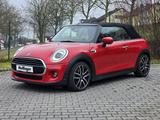 MINI Cooper Cabrio Chili Leder Sports.ParkAss.Fin.219 - rote MINI Cooper Cabrio