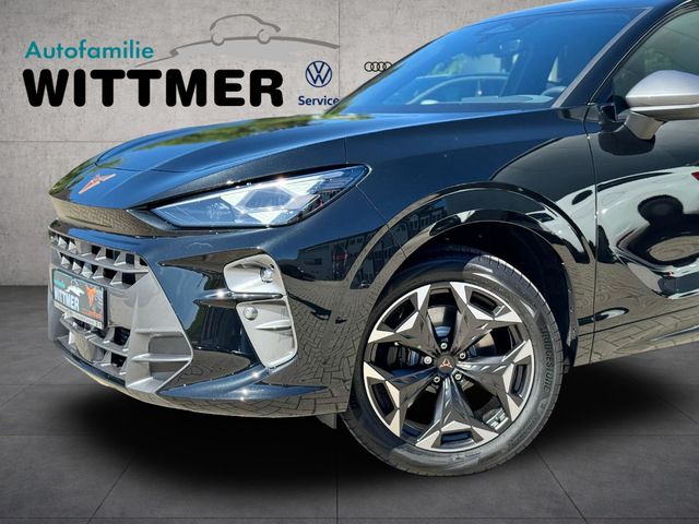 Terramar 2.0TSI 195kW VZ DSG 4Drive AHK/NAV/ACC