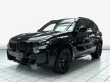 BMW X5 xDrive40d M Sportpaket HK HiFi DAB LED - BMW X5 Neuwagen in Hannover