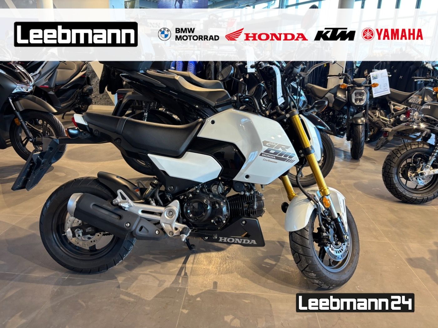 Fahrzeugabbildung Honda MSX 125 Grom 2025
