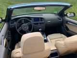 Audi A5 3.0 TDI S tronic quattro Cabrio, Aut,TOP,Chip - Audi A5 mit Diesel-Antrieb: Cabrio
