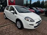 Fiat Punto 1,4 8V 77PS More Start+Stopp Klima Radio - Fiat Punto: 5 Türen