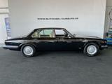 Jaguar XJ V12 Serie III H-Zulassung Schiebedach TOP - Jaguar: 12