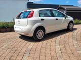 Fiat Punto 1.2 8V POP  - gebrauchte Fiat Punto aus dem Jahr 2014