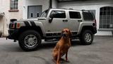 Andere Hummer H3, 3,7 +++ perfekter Zustand +++ 2... - Andere in Wuppertal