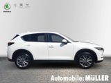 Mazda CX-5 2.2 SKYACTIV-D 150 Kangei 2WD *AHK*HUD*360° - Mazda Gebrauchtwagen Leipzig