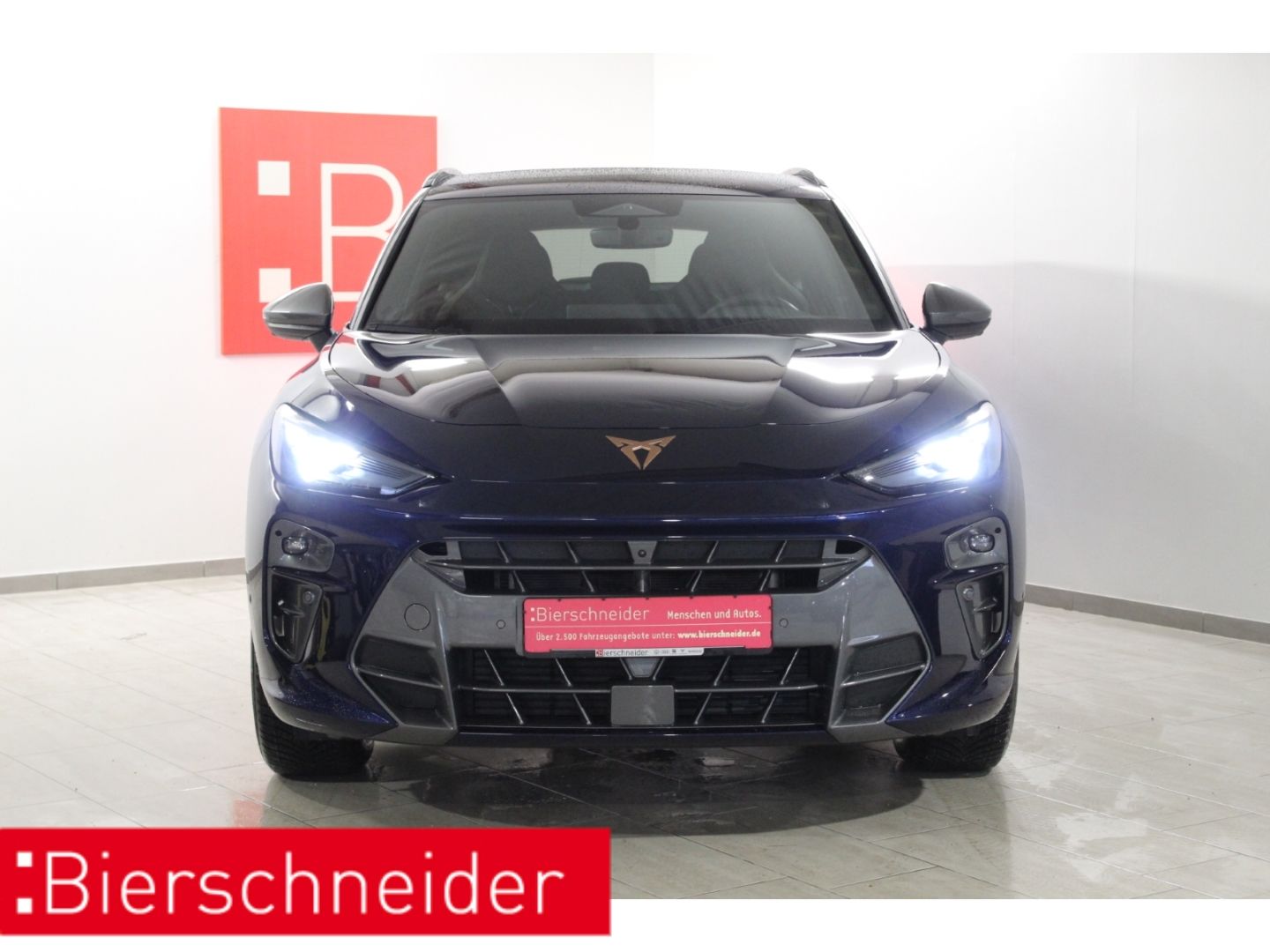 Cupra Terramar - Bild 3