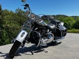 Harley-Davidson FLSTS Heritage Springer 100th Anniversary - Angebote entsprechen deinen Suchkriterien