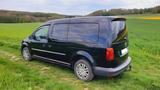 Volkswagen Caddy Maxi mit  Camperfunktion - : Allradantrieb, Van, mit